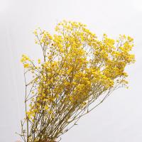 Artificial Flower Home Decoration, Dried Flower, durable & DIY, more colors for choice, 750mm, Sold By PC