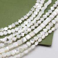 Perles en coquillage blanc naturel, coquille, larme, Forme différente pour le choix & DIY, blanc, Vendu par lot