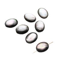 Black Shell Beads plated DIY black Sold By PC