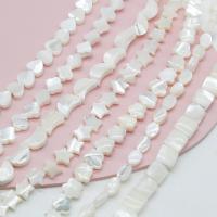 Perles naturelles de coquillage d'eau douce , Nacre perles, gravé, fait à la main, blanc, 10PC/brin, Vendu par brin