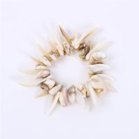 Bracelet bijoux coquillage, coquille d'eau douce, blanc, Longueur:20 cm, Vendu par PC