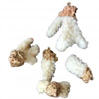 Ciondoli coralli, Corallo, placcato, colori misti, 20x33mm-35x48mm, Venduto da PC
