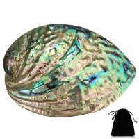 Abalone Shell Decoration, multihole, 150x150x60mm, Hole:Approx 3-9mm, Sold By PC