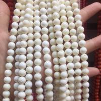 Natürliche Korallen Perlen, Koralle, rund, weiß, 8mm, Länge:40 cm, verkauft von PC