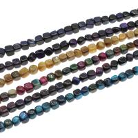 Tigerauge Perlen, Quadrat, DIY, keine, 8x8mm, verkauft per 15 ZollInch Strang