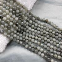 Labradorit Perlen, rund, DIY, grau, verkauft per 38 cm Strang