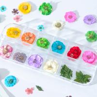 Fleurs séchées Finger Nail Sticker, DIY & pour femme, plus de couleurs à choisir, 125x50x10mm, Vendu par PC