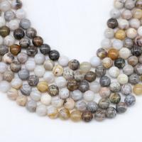 Bamboo Agate Beads, Round, polished, DIY, mixed colors, Sold Per 38 cm Strand