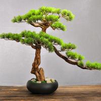 Porcelain Bonsai Ornament, with Wood, plated, for home and office & durable, 450x450mm, Sold By PC