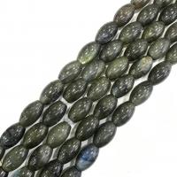Perline Labradorite, Moonstone, Tamburo, lucido, DIY, verde, 10x16mm, Appross. 24PC/filo, Venduto per 38 cm filo