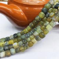 Natürliche Drachen Venen Achat Perlen, Drachenvenen Achat, Quadrat, poliert, DIY, gemischte Farben, 7x8mm, 50PCs/Strang, verkauft per 38 cm Strang