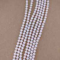 Perles de nacre rondes de culture d'eau douce, perle d'eau douce cultivée, blanc, 6-6.5mm, Vendu par Environ 15.74 pouce brin