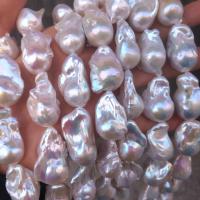 Perles nacres baroques de culture d'eau douce , perle d'eau douce cultivée, pepite, blanc, 24-25mm, Environ 16PC/brin, Vendu par brin