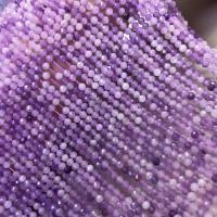 натуральный лепидолит Бусины, Круглая, DIY & граненый, фиолетовый, 2.8-3mm, Продан через 38 см Strand