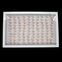 Anillo de Aleación de Zinc, con perla, para mujer & con diamantes de imitación, dorado, 20x20x3mm, 100PCs/Caja, Vendido por Caja