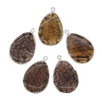 Agate Jewelry Pendants Brass with Dragon Veins Agate coffee color Sold By PC
