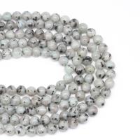 Lotus Jaspis Perlen, Lotos Jaspis, rund, DIY & verschiedene Größen vorhanden, gemischte Farben, verkauft per 38 cm Strang