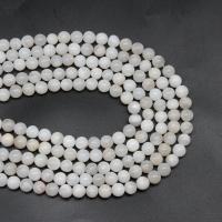 Perle naturelle Agate Crazy, agate folle, Rond, DIY & normes différentes pour le choix, blanc, Vendu par 38 cm brin