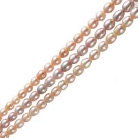 Perlas Patata Freshwater, Perlas cultivadas de agua dulce, natural, más colores para la opción, 9-10mm, Vendido por Sarta