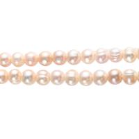 Perles nacres pommes de terre de culture d'eau douce, perle d'eau douce cultivée, pomme de terre, fileté, plus de couleurs à choisir, 10-11mm, Trou:Environ 2.5mm, Vendu par 15 pouce brin