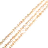 Perles nacres baroques de culture d'eau douce , perle d'eau douce cultivée, pepite, naturel, plus de couleurs à choisir, 7-8mm, Trou:Environ 0.8mm, Vendu par 15 pouce brin