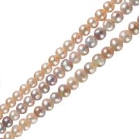 Perlas Patata Freshwater, Perlas cultivadas de agua dulce, natural, Púrpura, 6-7mm, agujero:aproximado 0.8mm, Vendido para aproximado 15 Inch Sarta