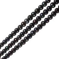 Ronde Gekweekte Zoetwater Parel kralen, zwart, Grade A, 11-12mm, Gat:Ca 0.8mm, Per verkocht Ca 15.5 inch Strand