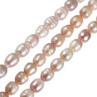 Tlačítko kultivované sladkovodní Pearl Beads, přírodní, nachový, 12-13mm, Otvor:Cca 0.8mm, Prodáno za Cca 14.7 inch Strand