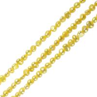 Perles nacres baroques de culture d'eau douce , perle d'eau douce cultivée, Jaune, 5-6mm, Trou:Environ 0.8mm, Vendu par 14.5 pouce brin