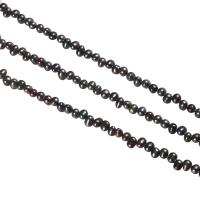 Cultured Rice Freshwater Pearl Beads, top drilled, dark purple, 5-6mm, Hole:Approx 0.8mm, Sold Per Approx 15 Inch Strand