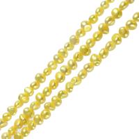 Perles nacres baroques de culture d'eau douce , perle d'eau douce cultivée, Jaune, 6-7mm, Trou:Environ 0.8mm, Vendu par 14 pouce brin