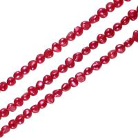 Barocco coltivate in acqua dolce Perla, perla d'acquadolce coltivata naturalmente, rosso violaceo, 5-6mm, Foro:Appross. 0.8mm, Venduto per 14 pollice filo