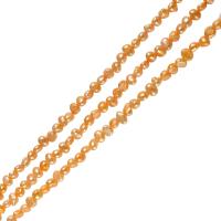 Krumpir Kulturan Slatkovodni Pearl perle, prirodan, zlato, 4-5mm, Rupa:Približno 0.8mm, Prodano Per 14 inčni Strand