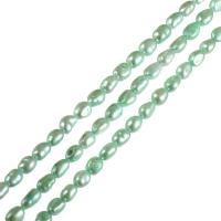 Barock odlad sötvattenspärla pärlor, Freshwater Pearl, grön, 7-8mm, Hål:Ca 0.8mm, Såld Per Ca 15 inch Strand