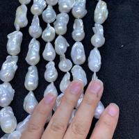 Perlas Cultivadas Nucleadas de Agua Dulce, Blanco, libre de níquel, plomo & cadmio, 16-23mm, Vendido por Sarta