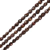 Barock odlad sötvattenspärla pärlor, Freshwater Pearl, kaffe färg, Grade A, 9-10mm, Hål:Ca 0.8mm, Såld Per 14.5 inch Strand