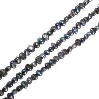 Cultured Potato Freshwater Pearl Beads, blue black, 8-9mm, Hole:Approx 0.8mm, Sold Per Approx 14.5 Inch Strand