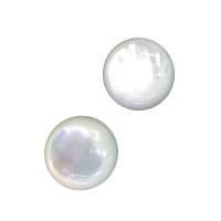 Shell Cabochons, White Shell, Round, natural, white, 12mm, 10PCs/Bag, Sold By Bag