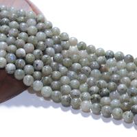 Perline Labradorite, Cerchio, lucido, DIY, grigio, Venduto per 38 cm filo