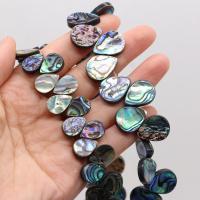 Abalone Shell Beads, Teardrop, DIY, mixed colors, Sold By PC