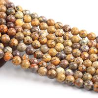 Impression Jaspis Perle, rund, poliert, DIY, gelb, verkauft per 38 cm Strang