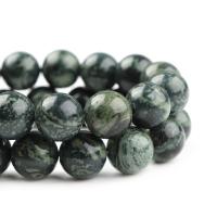 Kambaba Jasper Beads Round polished DIY green Length 38 cm Sold By PC