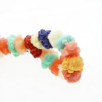 Perles de corail synthétiques, tortue, gravé, DIY, multicolore, 20mm, 40PC/brin, Vendu par 38 cm brin