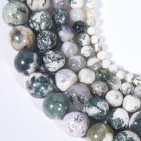 Perle en bois d'agate, agate d'arbre, Rond, poli, DIY, couleurs mélangées, Vendu par 38 cm brin