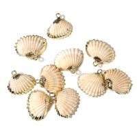 Shell Pendants Zinc Alloy with White Shell mixed colors 16-20mm Sold By Bag