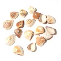 Perles naturelles de coquillages de mer , coquille, Irrégulière, DIY, couleurs mélangées, 13-17mm, 10PC/sac, Vendu par sac