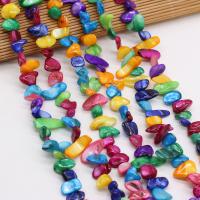 Natürliche Süßwasser Muschel Perlen, Süßwassermuschel, Bruchstück, DIY, farbenfroh, 8x15-10x20mm, verkauft per 80 cm Strang