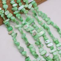 Natürliche Süßwasser Muschel Perlen, Süßwassermuschel, Bruchstück, DIY, grün, 8x15-10x20mm, verkauft per 80 cm Strang