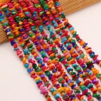 Perles de coquille colore naturelle, chips, DIY, multicolore, 3x5-4x6mm, Vendu par 40 cm brin