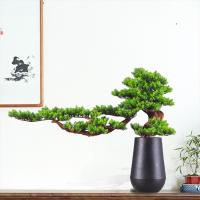 Ebenholz Bonsai Ornament, plattiert, nachhaltiges & verschiedene Stile für Wahl, keine, 810x200x600mm, verkauft von PC